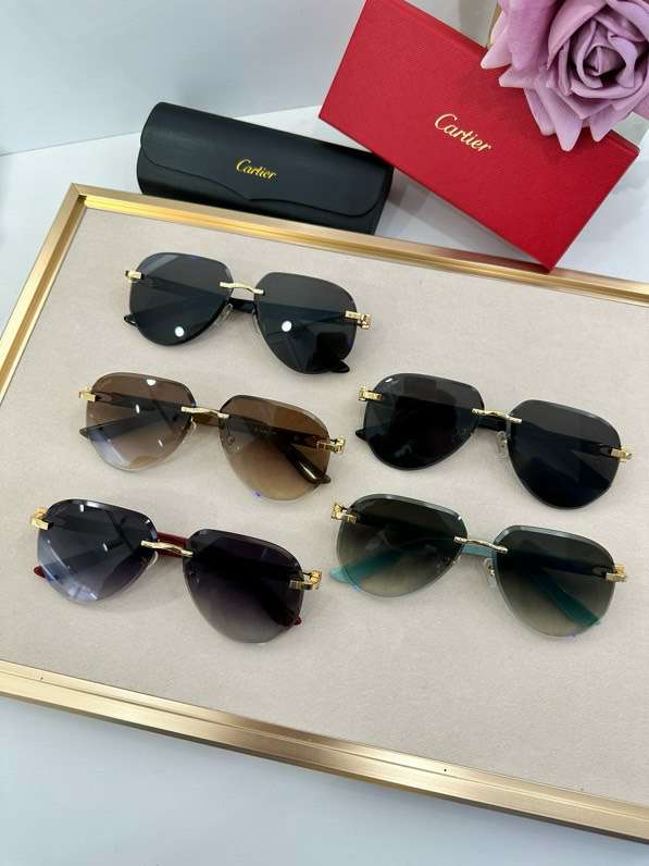 Picture of Cartier Sunglasses _SKUfw55707463fw